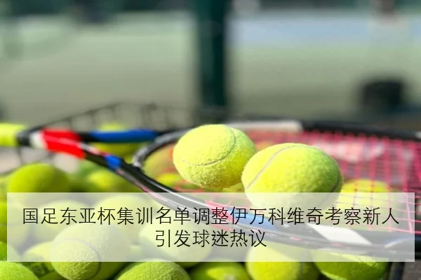 国足东亚杯集训名单调整伊万科维奇考察新人引发球迷热议