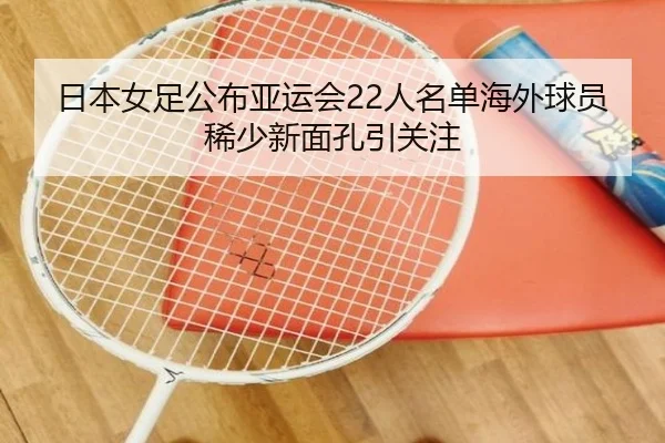 日本女足公布亚运会22人名单海外球员稀少新面孔引关注