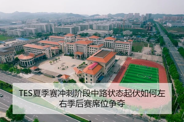 TES夏季赛冲刺阶段中路状态起伏如何左右季后赛席位争夺